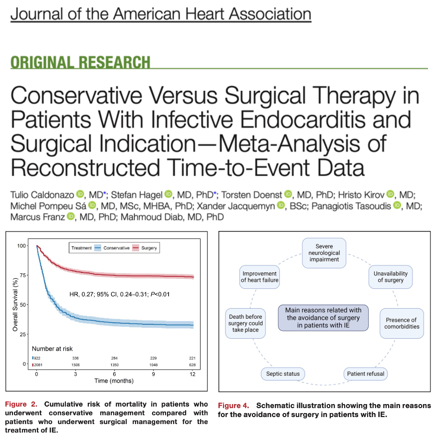🆕Check out our new study published in @JAHA_AHA ‼️Patients with IE and formal indication for surgical intervention who underwent surgery are associated with a lower risk of short- and long-term mortality when compared with conservative treatment. 🔗See: shorturl.at/dfuxZ