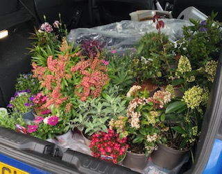 pembsyod's tweet photo. A huge thank you to the Bupa Foundation for the grant which has enabled us to purchase all these wonderful plants for our new dementia friendly garden at our Young Onset day service. https://t.co/YZVmK7Z2aY
