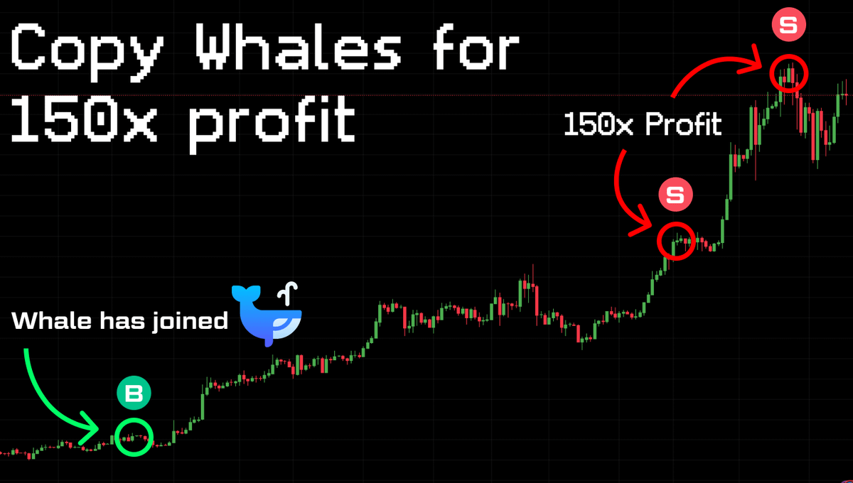 I made over $100,000 by copy-trading meme coin whales 🐳

It's a passive income on $SOL no one talks about.

Spent over a month on 🧵, here is an ULTIMATE copytrading guide 👇

P.S. Will share private whale wallets with huge profit.