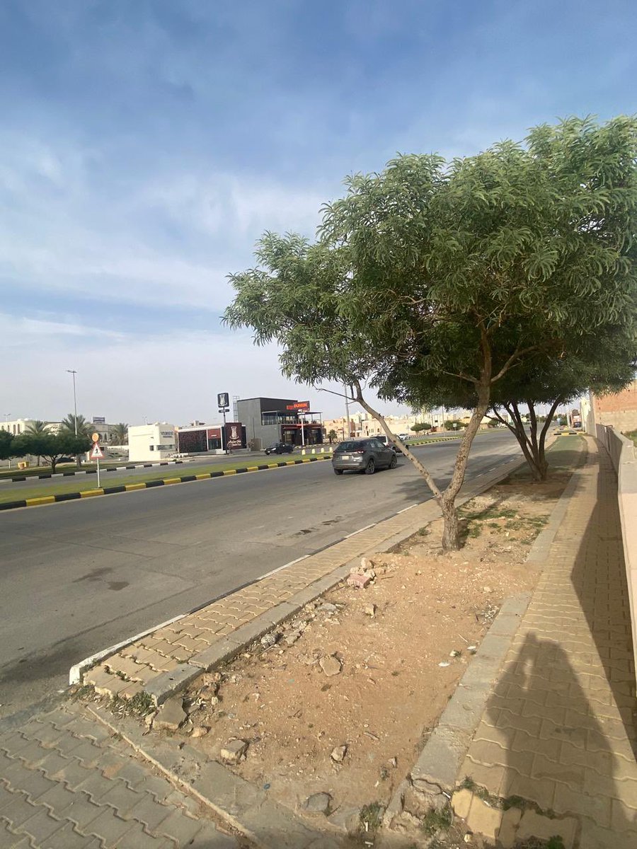 almubd3_'s tweet photo. #عقارات_القصيم_عنيزة #المبدع_العقاري 
#للإستثمار ارض تجارية مساحتها 2043 متر طريق حمد الحركان تفتح شمال بطول 41 م على شارع عرض 45 م
#للتواصل :
0553657878
 رقم المعلن:
6263470
ترخيص اعلاني:
7200172228
رخصة فال:
1200013350
#مكتب_المبدع_للعقارات https://t.co/rfnD9M1WpB