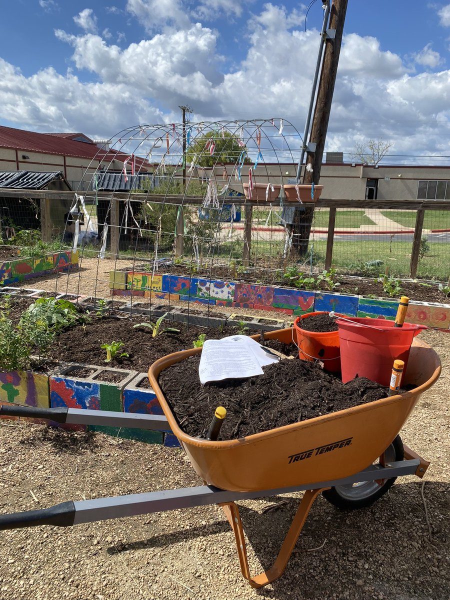 From seed to sprout, our school garden blooms with newfound knowledge about the water cycle! 💧🌱 <a href="/VoigtGarden/">Archived: Voigt Community Garden (RRISD, TX)</a> <a href="/VoigtAIA_RRISD/">Voigt AIA</a>