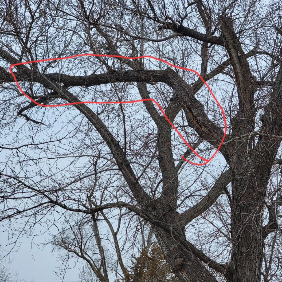 Rootedtreeomaha's tweet photo. Looking for a new home? Please take a look at something a ton of people don't even think to get inspected too. Check out these hidden potential issues in the blog-> 
https://t.co/21rvsui0Na
#blog #home #homeowner #local #omaha #RealEstate #inspection https://t.co/AWwqFhgrFw