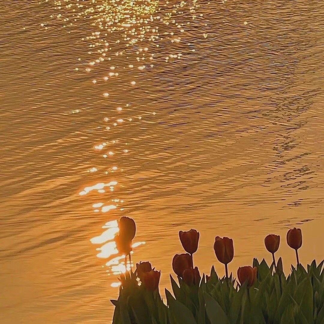 littIecherrypie's tweet photo. au - here comes the sun ☀️
harry, un dulce panadero que creció viendo el amor de sus padres y sueña que alguien lo ame así.

o

louis, jamás en su vida ha conocido el amor, ni lo ha presenciado, pero sueña con darle a harry el amor que él tanto desea. https://t.co/3rzSHQtop1