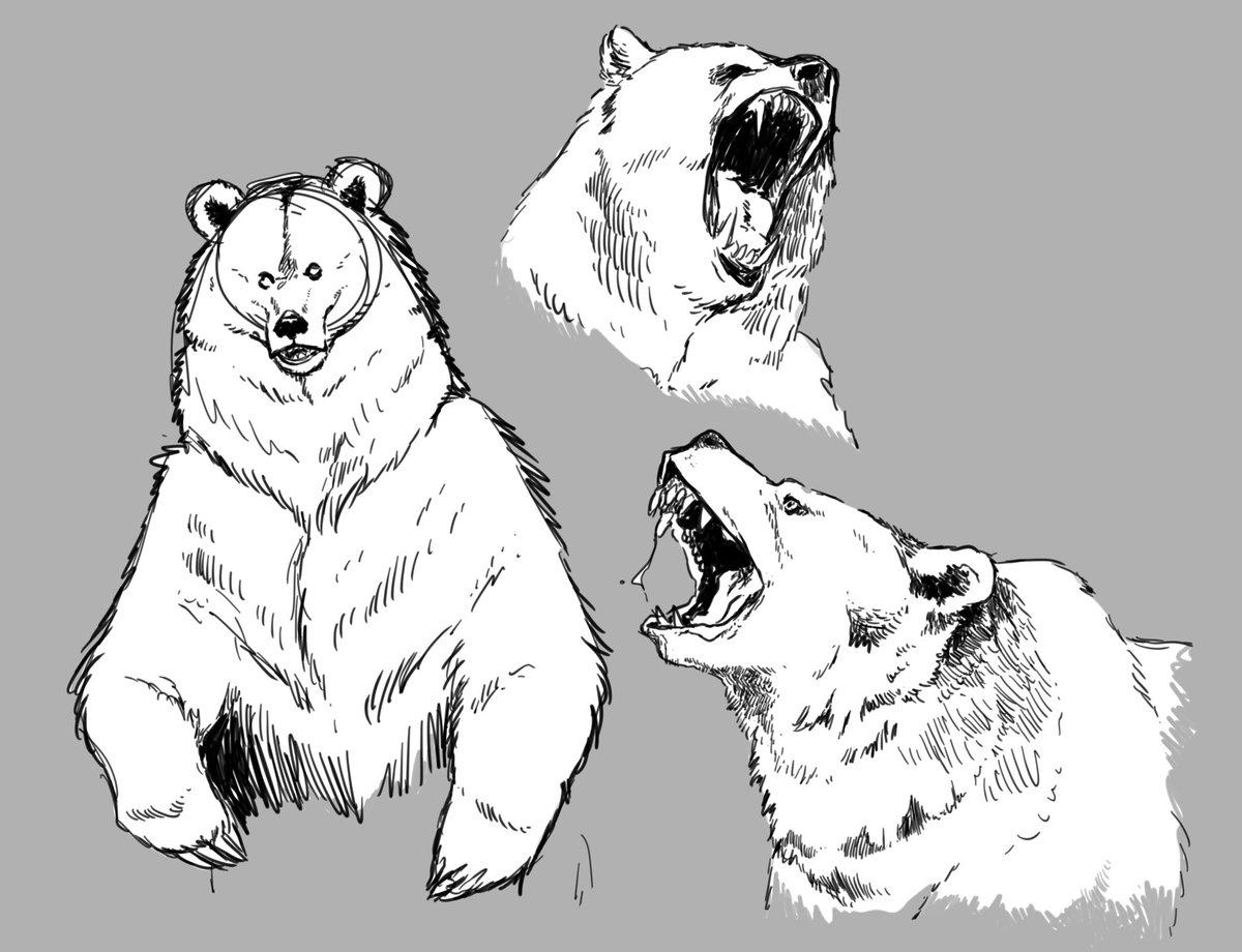 logan (@loganvanderwolf) on Twitter photo 