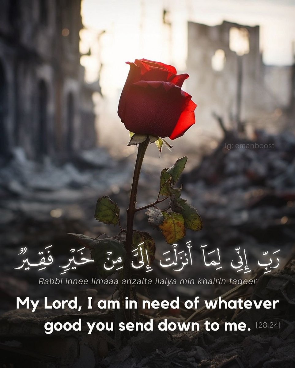 My Lord, I am in need of whatever good You send down to me. 🤲