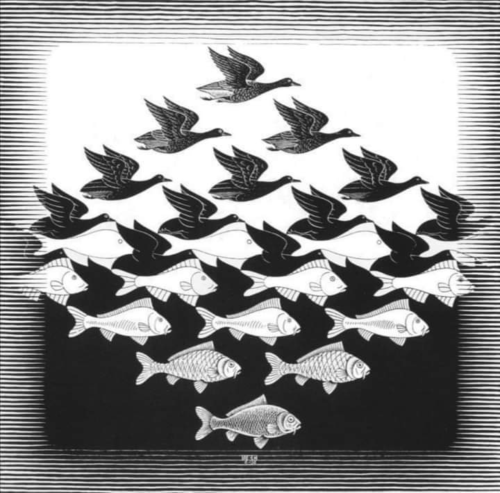 Maurits Cornelis #Escher
#27marzo 1972🥀

Cielo e acqua
Xilografia del 1938