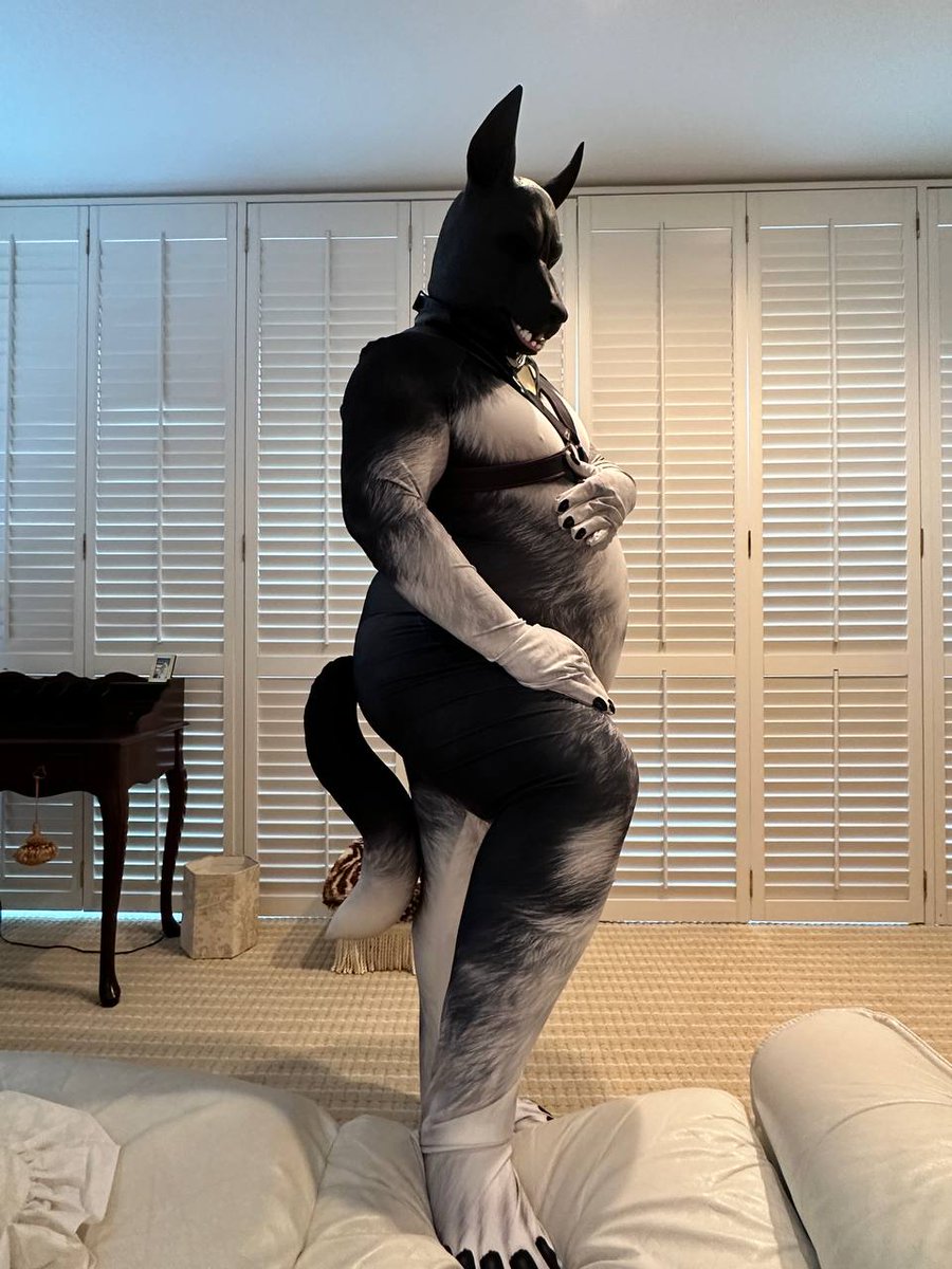 6'3 not including the ears 
Is tallish