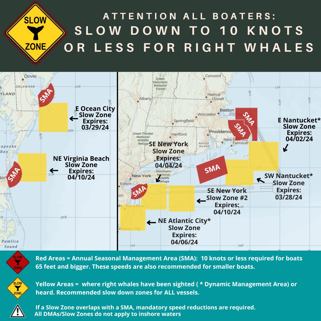 Two New #RightWhale #SlowZones: NE Virginia Beach, VA and SE New York, NY- Effective Through 4/10. Mariners are requested to avoid or transit at 10 kts or less. See map for locations of all Slow Zones. Sign up for alerts here: bit.ly/49AVAXG