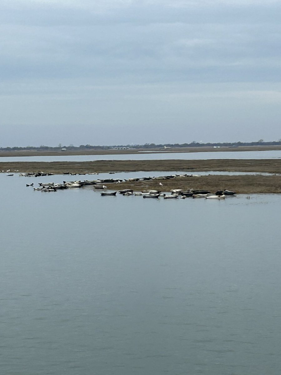 Kirsten Higgins tweet media