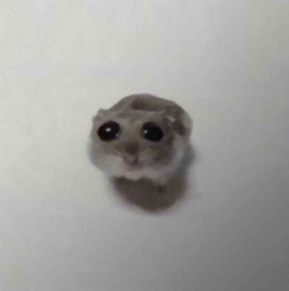 StefanieGD⚔️ tweet media