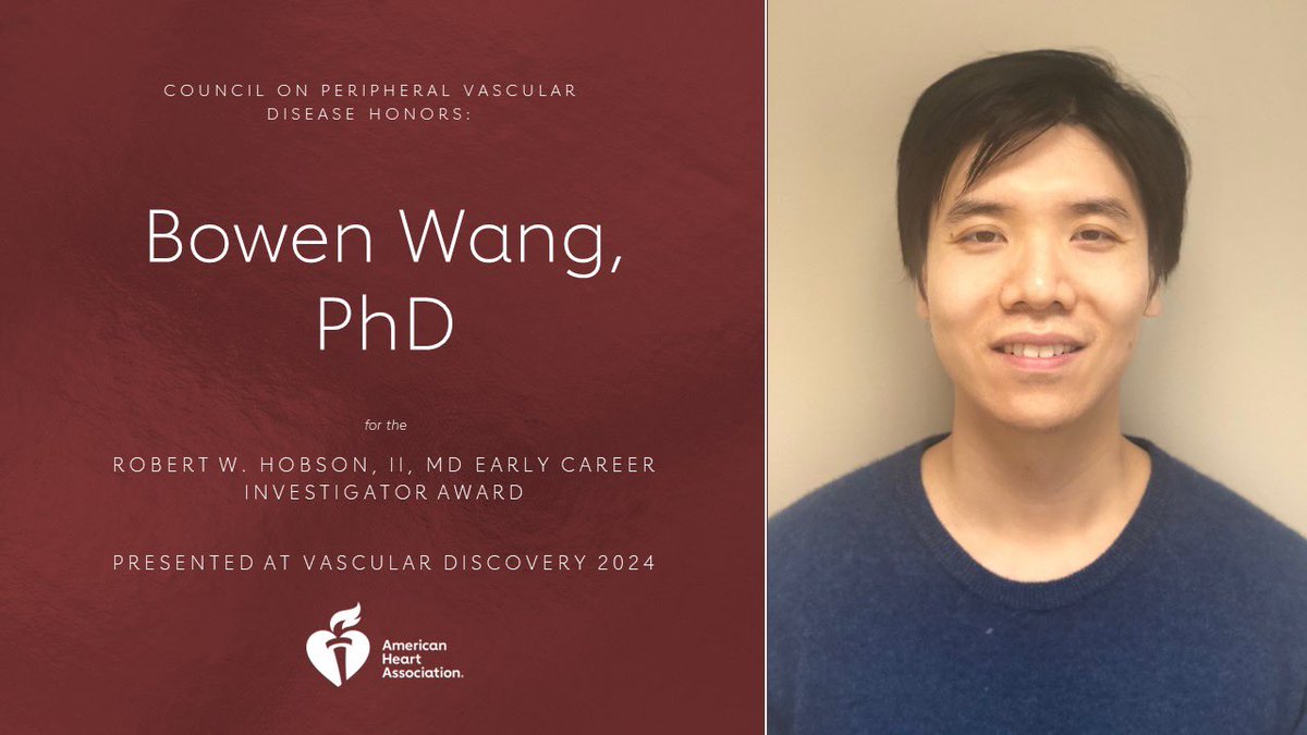 The Hobson Early Career Award is an abstract based award determined by a candidate’s excellence in either basic/clinical science. Congratulations to Dr. Bowen Wang as this year’s winner! We look forward to giving him his award at the Joint Council Dinner at #VascularDiscovery24!