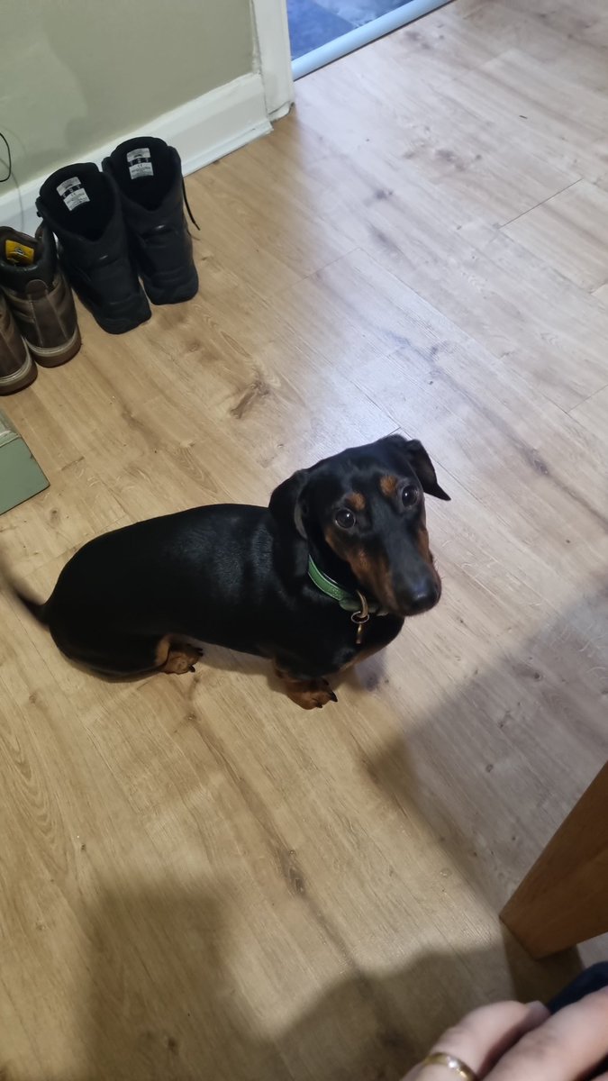 Dr Lawrie G 🇬🇧 🇪🇺 tweet media