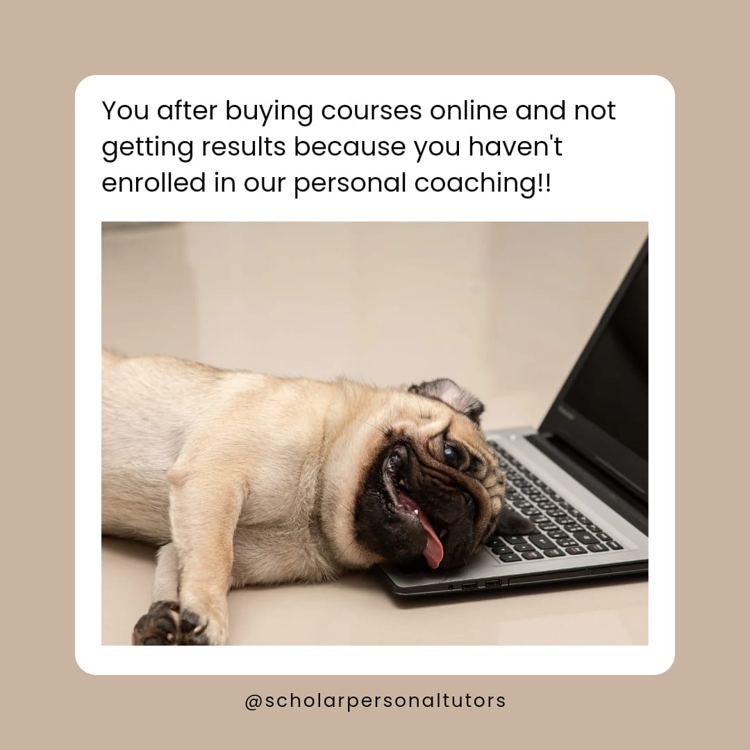 scholarpt's tweet image. Don&apos;t waste your time investing in recorded lectures , Join Us and learn personally from Industry experts.
#AI #machinelearningmodel #devinai #websitedevelopment #Webdesign #DELF #codingmemes #codingchallenge #CodingJourney #explorepage #IITJEE #IITJEEcoaching #NEET