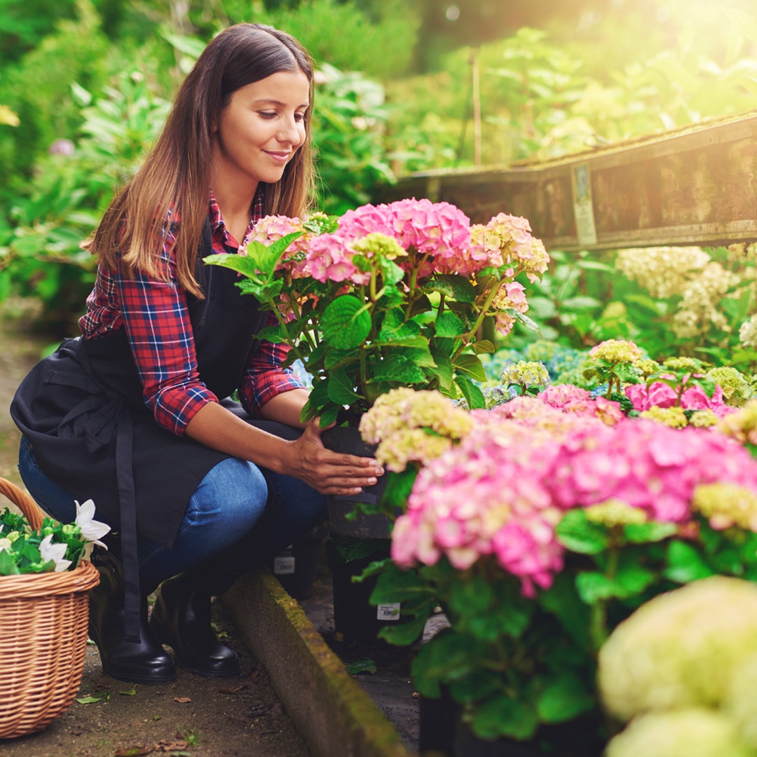 climateaction_1's tweet photo. Spring into action and make a positive impact on the environment by starting a garden! Planting native species supports biodiversity and requires less maintenance, helping to combat climate change. 🌱🌸 https://t.co/PZbvf38kiF
