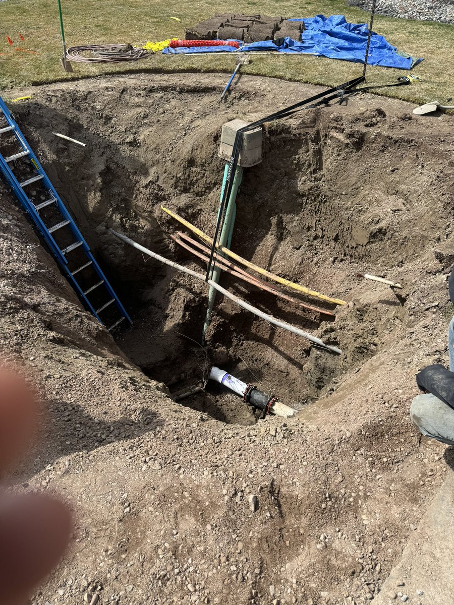 Andrew Tenholder tweet media