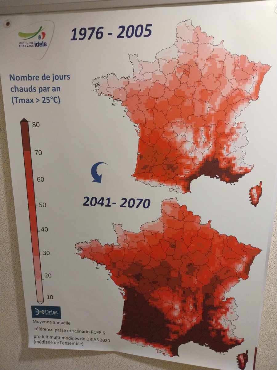 Benoît Rouillé tweet media