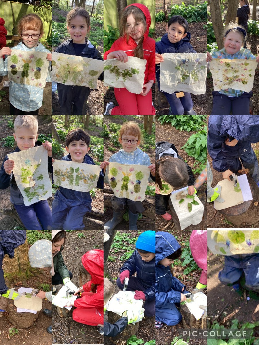 OWPS_forestschool tweet media