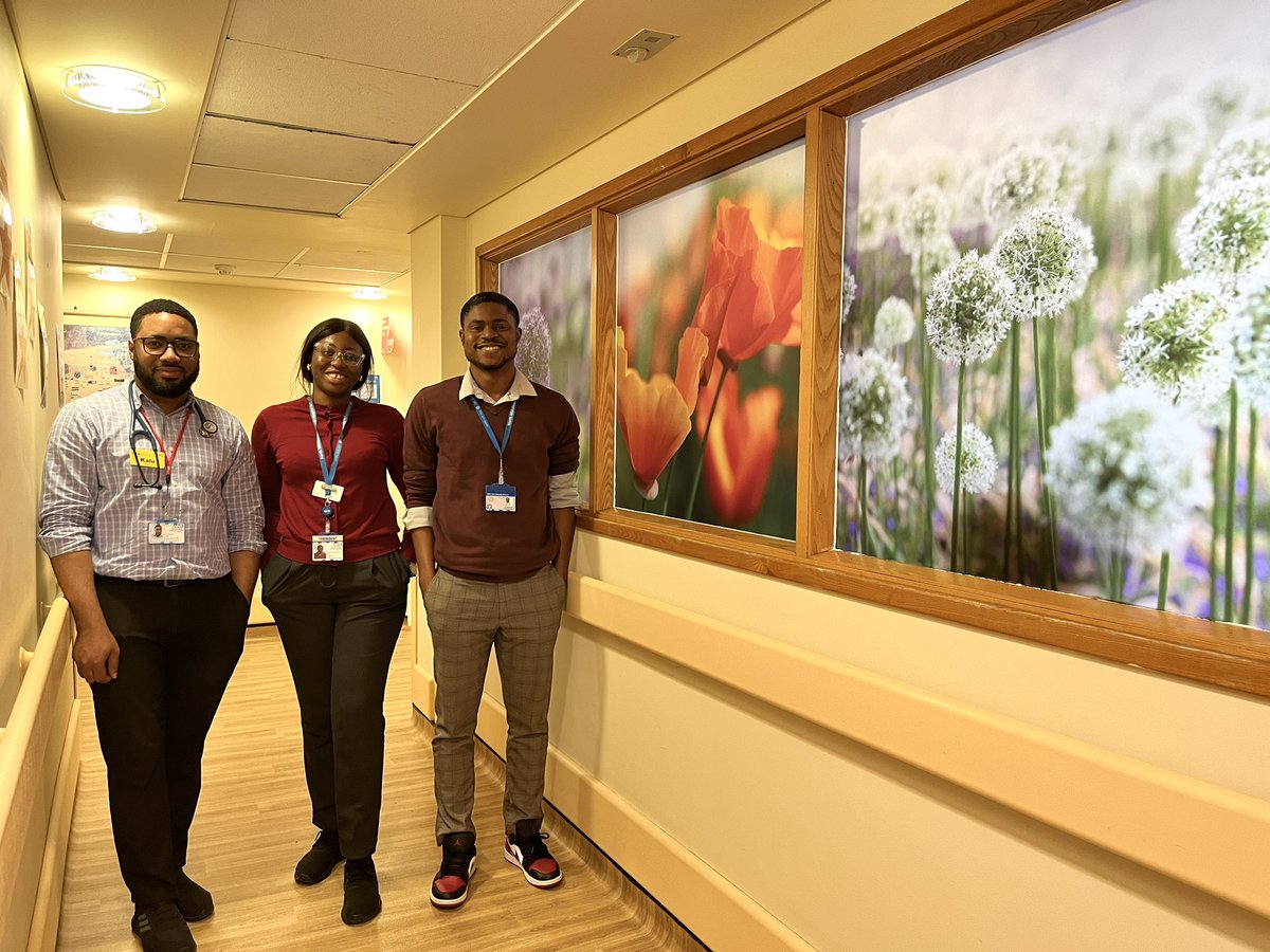 Today, I put up photos I took @kewgardens in the windows of our oncology doctors’ office, to brighten up the ward & enable privacy. My photos were printed on adhesive translucent vinyl by @MX_Display. Our doctors are happy! 😁 #nhs #Oncology #art #artinhospital #PatientCare