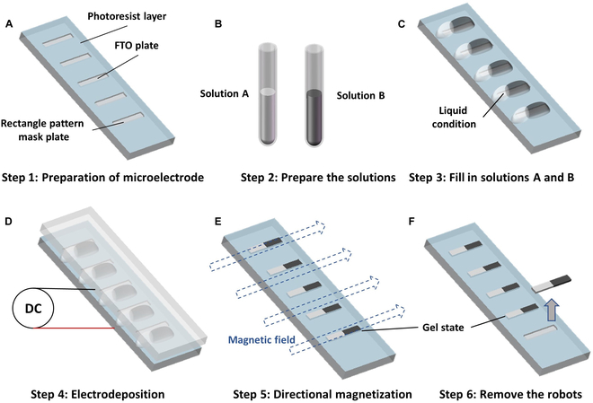 JUST PUBLISHED: Double-Modal Locomotion of a Hydrogel Ultra-Soft Magnetic Miniature Robot with Switchable Forms Click here to read the latest free, Open-Access article from Cyborg and Bionic Systems, a Science Partner Journal: spj.science.org/doi/10.34133/c…