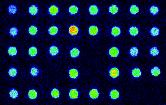 Sean Michaletz tweet media