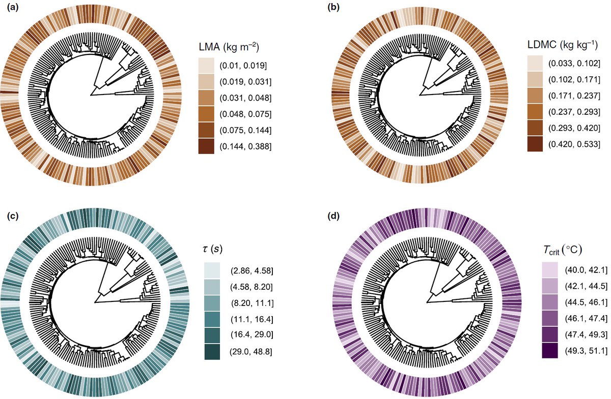 Sean Michaletz tweet media