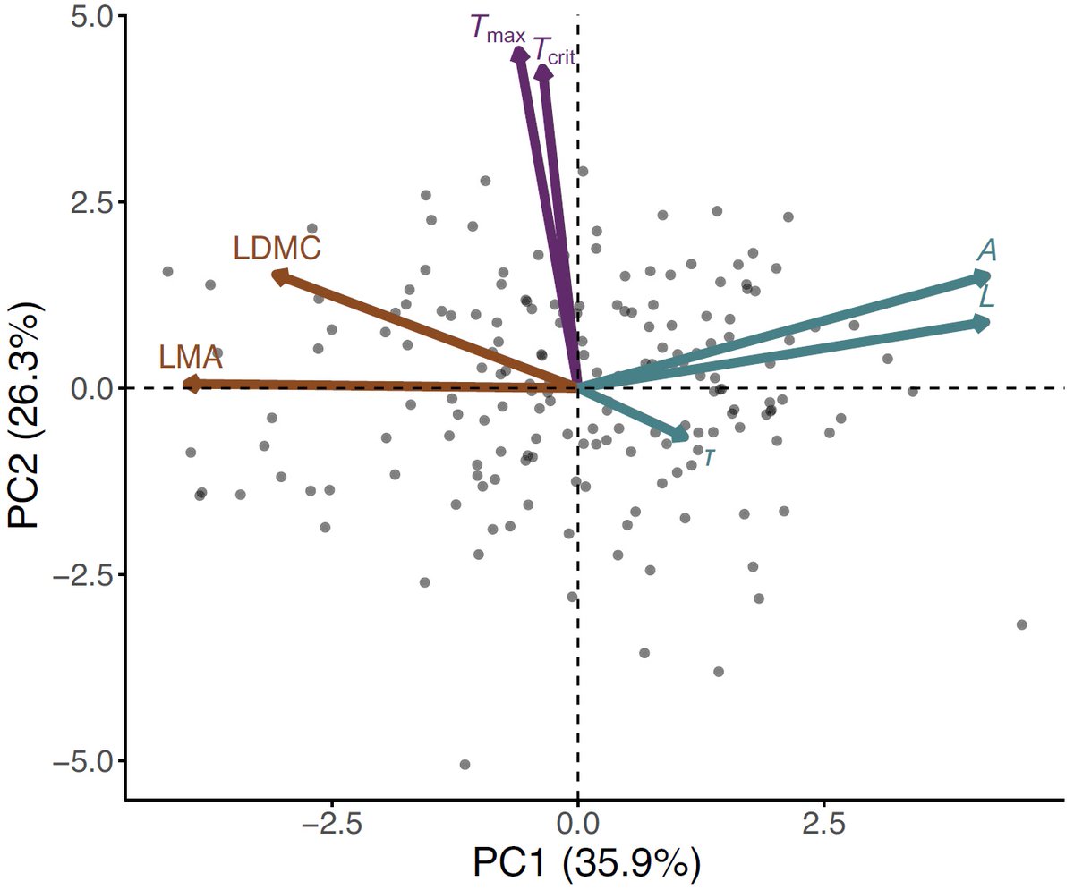 New paper led by @NicoleBison in @NewPhyt quantifies #HeatTolerance, #CarbonEconomics, & #EnergyBalance traits for 177 spp (157 families) in a common garden that controls for macroclimate. shorturl.at/szK68 @UBCBiodiversity @UBCBotany @ubcscience @ZoologyUBC