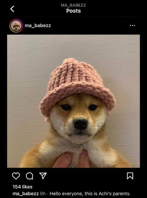 $BAG.

The Cat Has A Bag.
The Dog Has A Hat.

Whats catwifbag? catwifbag was a meme originally posted by the same person who posted the original dogwifhat meme + she is the owner of both the cat and the dog.

Bag The Globe.