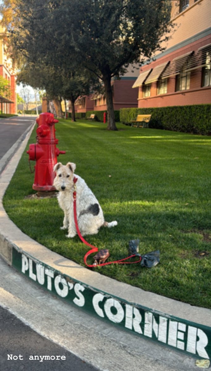 SpampinatoJeff's tweet photo. Move over Pluto this is my spot now!! 
@spampistefania 
#SaveStation19 https://t.co/hWNczXziyY