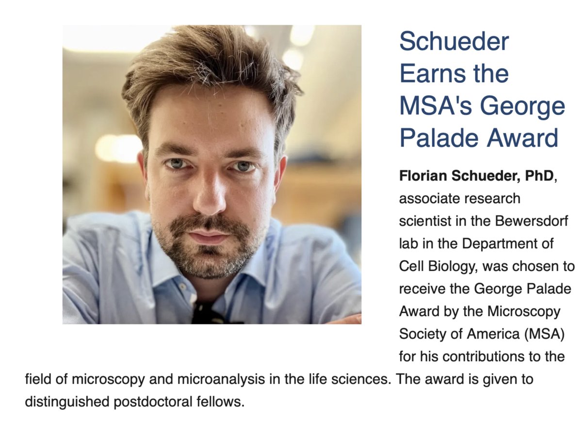 Only fitting that one of our own wins the Microscopy Society of America's Palade Award! Congrats to Florian Schueder @bewersdorflab !