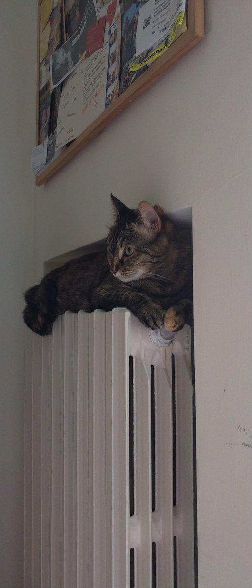 michigiro's tweet photo. Troppo freddo oggi #treparole #SBLab24 #scritturebrevi https://t.co/tzjfVIzK3O