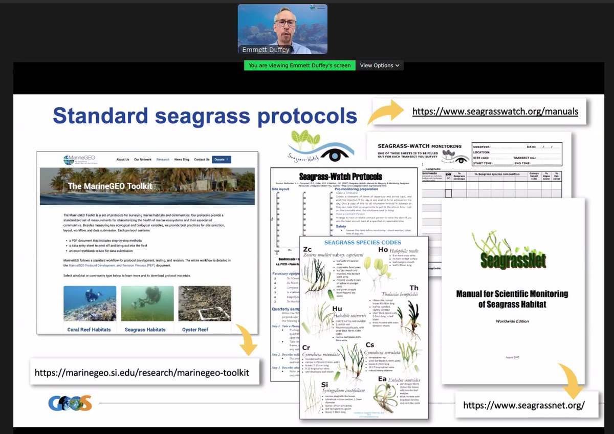 Tremendous progress in global coordination of seagrass observations reported by @ResearchLina and @JEmmettDuffy during the @GOOSocean webinar on #Seagrass EOV. In the @BioEcoOcean project, we look forward to contributing to the ongoing global effort.