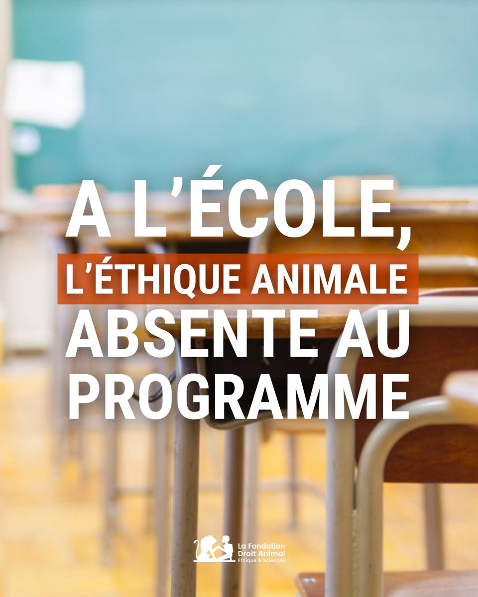 📚 Les nouveaux programmes d’enseignement moral et civique (EMC) ont récemment été soumis à consultation nationale. La LFDA y a contribué afin de rappeler l’importance d’enseigner aux élèves l’éthique animale et le respect des animaux. Selon la loi du 30 novembre 2021 visant à…