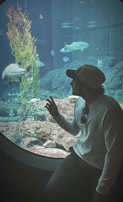 I know a lot about fish, donkeys, and GOATs. https://t.co/d6CMy1IUE0<a href="/tag/vacation"class="tags"><span>#vacation</span></a><a href="/tag/beachlife"class="tags"><span>#beachlife</span></a><a href="/tag/bigsur"class="tags"><span>#bigsur</span></a><a href="/tag/northerncalifornia"class="tags"><span>#northerncalifornia</span></a>