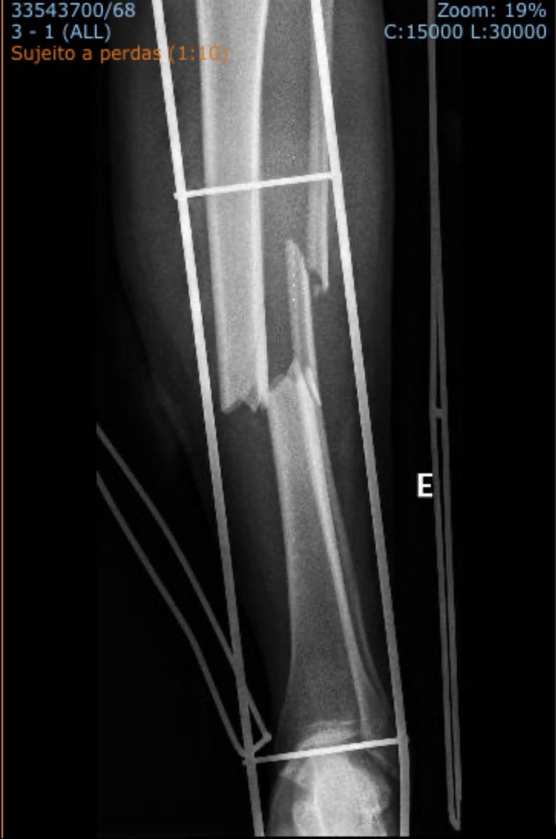 Carolina Ferraz, MD tweet media