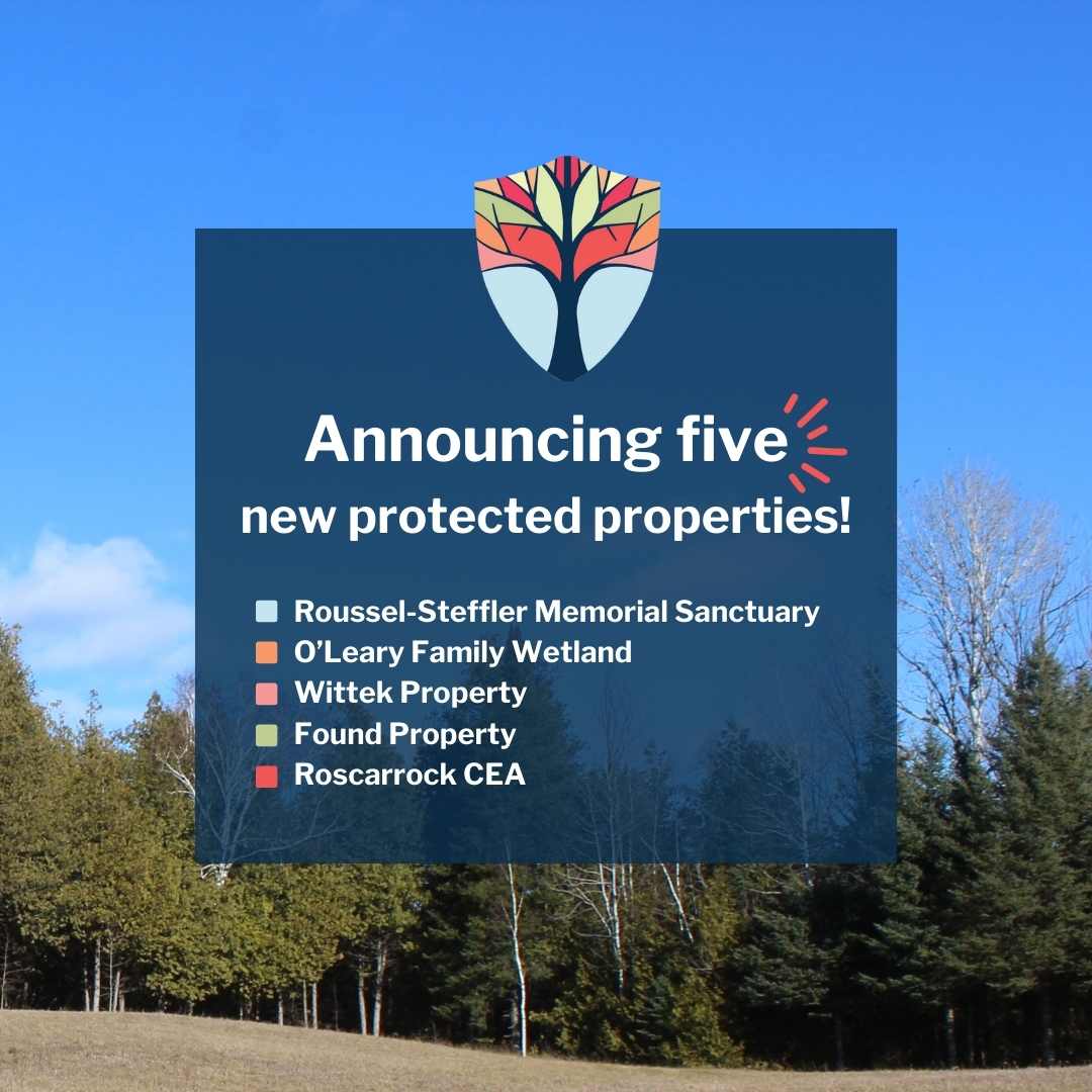 Kawartha Land Trust is thrilled to head into spring with more positive conservation news for the Kawarthas – the protection of five new properties!