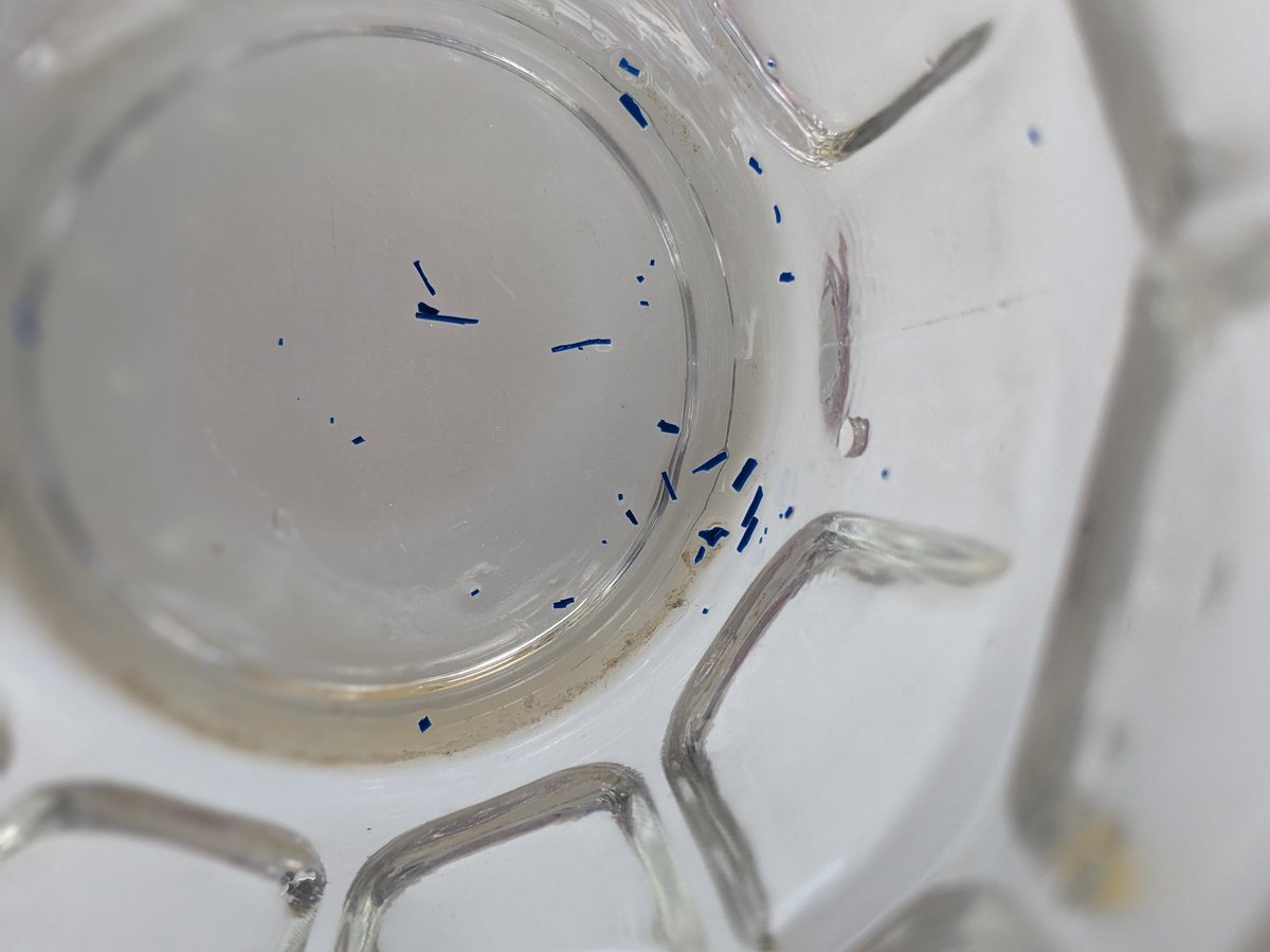 SalesburyBeard's tweet photo. Hi @unitedutilities just wondering if this is what I should expect when drinking tap water? https://t.co/HIh26gCkAZ