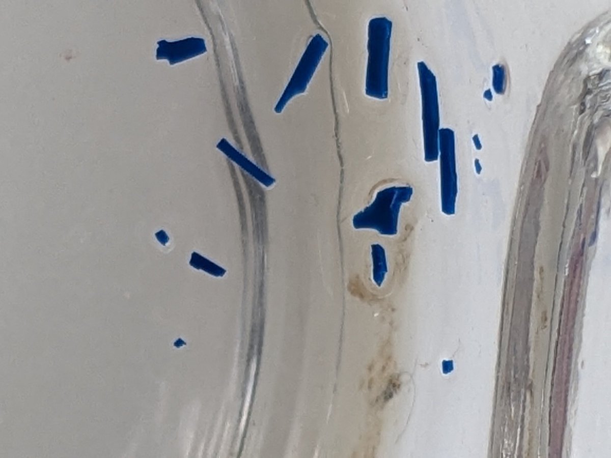 SalesburyBeard's tweet photo. Hi @unitedutilities just wondering if this is what I should expect when drinking tap water? https://t.co/HIh26gCkAZ