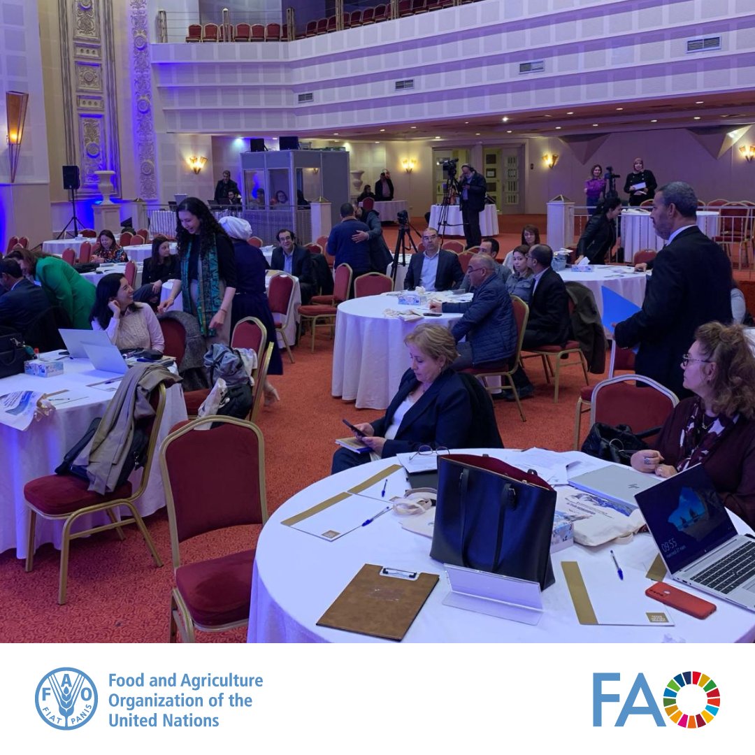 #HappeningNow @FAO Workshop presented findings on the socio-economic survey for the #SocialProtection of #SmallScaleFishers 🎣 in Tunisia 🇹🇳 . Thanks to @Norad❗️ 🤝 Together with CRES & Tunisian government, we're working towards a more inclusive future for fishers. #SocPro4Fish