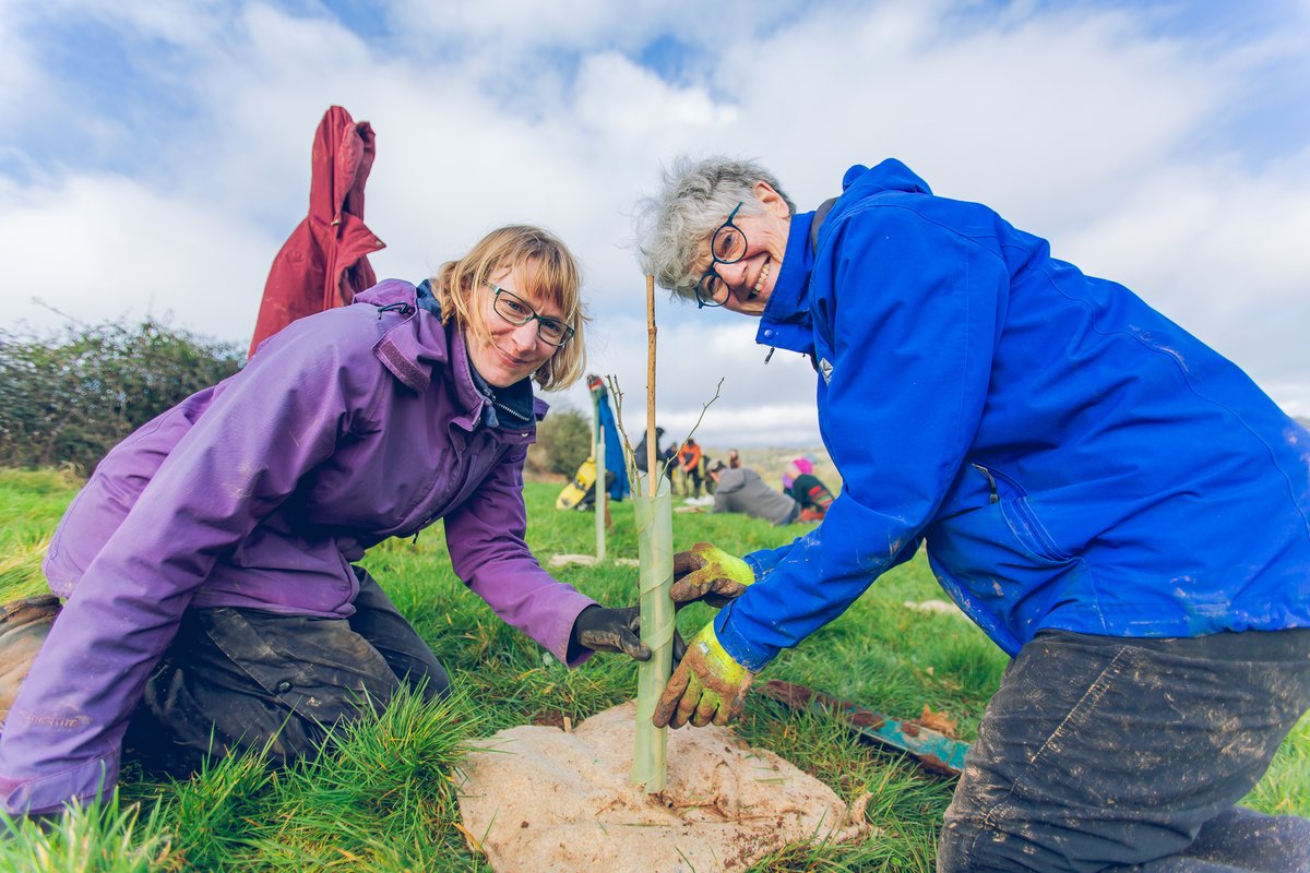 📣🌳Final call for tree planters! 🌳📣 This Thursday and Friday will be our last tree planting days at Great Avon Wood until winter. We are SO close to planting a record breaking number of trees - can you help us over the finish line?👇 avonneedstrees.org.uk/woodlands/grea… @forestofavon