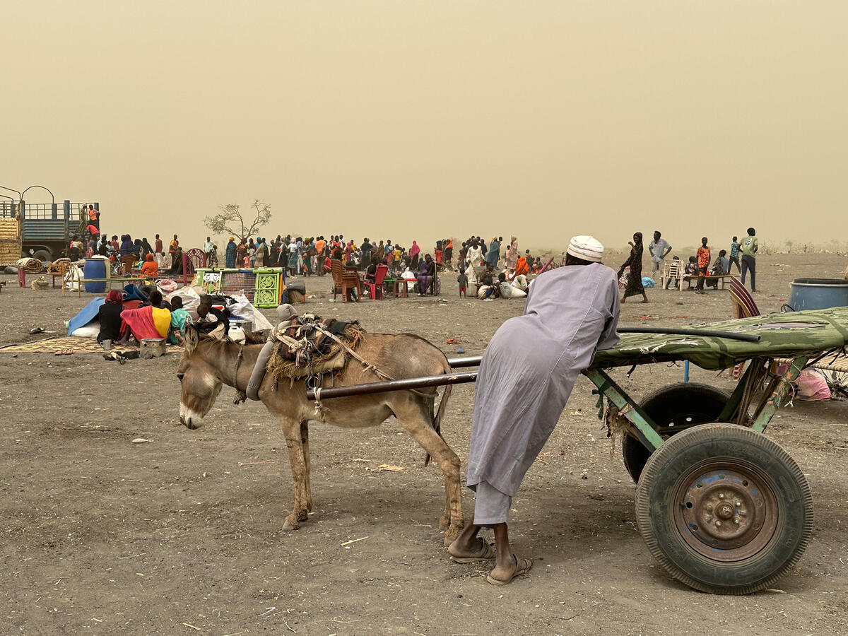 Crisis at border of #SouthSudan and #Sudan escalating as about 1,000 people arrive daily even after nearly one year of war. The needs are so much greater than the support currently available. southsudan.savethechildren.net/news/crisis-bo…