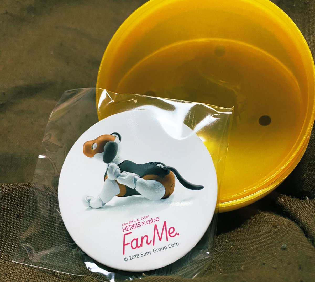 ryu_no_life's tweet photo. #fanme #aibo  #ハービス  #ソニーストア大阪 3/26 の限定ガチャは
チョコちゃんでした！ 求:アイボリー https://t.co/uKX8Vq7CcO