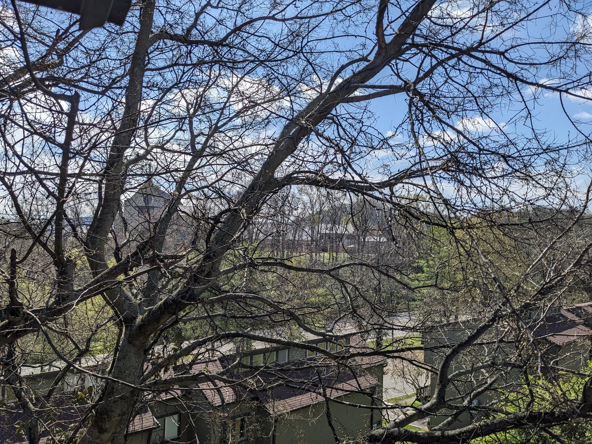 Praying for continued healing in the Covenant community, my neighbors.