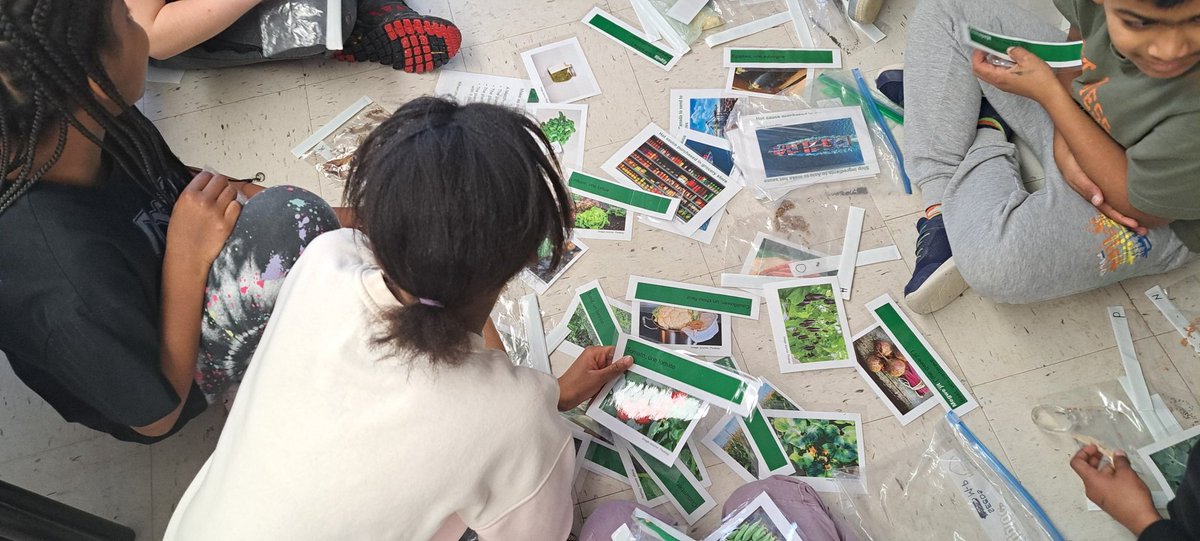 JessW08's tweet photo. Thank you to Sarah from @CleanFoundation for coming in to teach 4/5 Wells all about seeds! https://t.co/cHIi7Si5Vr