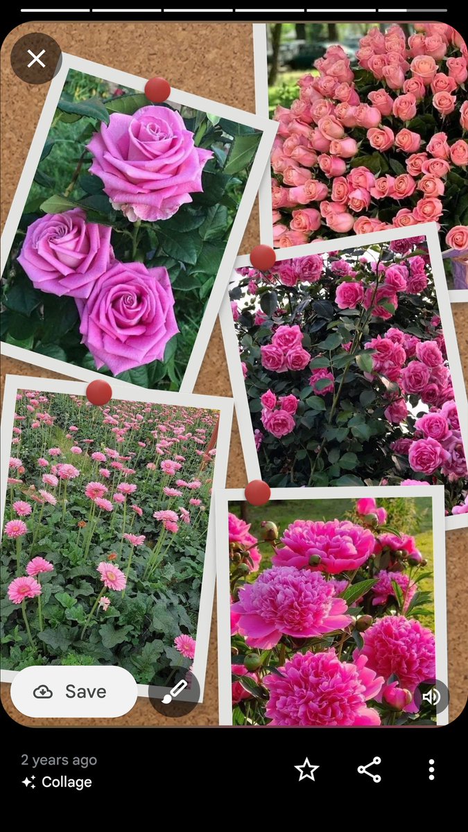 presyjp's tweet image. We  L💗💗💗VE you po 😊
#AttyLeniRobredo