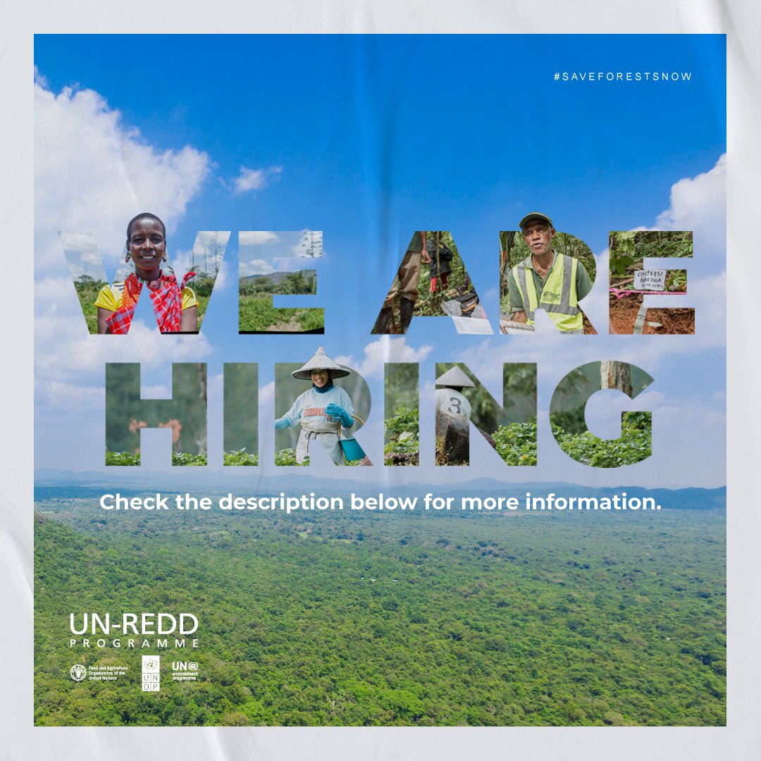 📢 Here is a chance to work with us! Are you passionate about scaling up forest finance and engaging private sector in Asia Pacific? 🌳 We are hiring a Private Sector and Market Access Consultant to join our team in Bangkok! Apply now: careers.un.org/jobSearchDescr… #SaveForestsNow