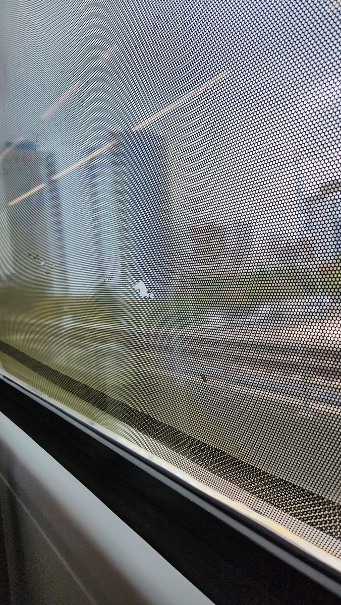 Nick_H45's tweet photo. @GoBrightline was looking forward to my ride today, big shame I can't see anything out the window. 10 minutes on board and already getting headaches trying to peer through these dots covering the windows https://t.co/3X3G0qMwmm
