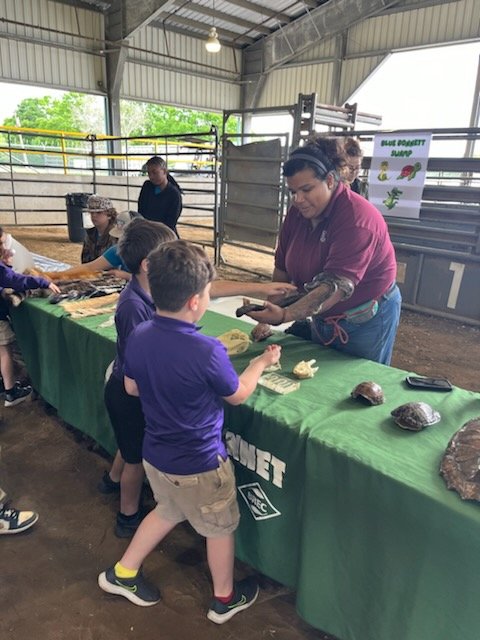 IbervilleSchool's tweet photo. 🌱🚜 Ag Adventures is off to an incredible start, with students diving into hands-on learning about agriculture. #AgAdventures #IPSB #AgricultureEducation #MovingForward🌾🌟 https://t.co/zqgGvGqVzs
