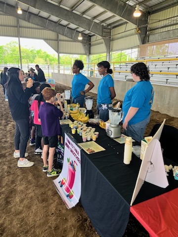 IbervilleSchool's tweet photo. 🌱🚜 Ag Adventures is off to an incredible start, with students diving into hands-on learning about agriculture. #AgAdventures #IPSB #AgricultureEducation #MovingForward🌾🌟 https://t.co/zqgGvGqVzs