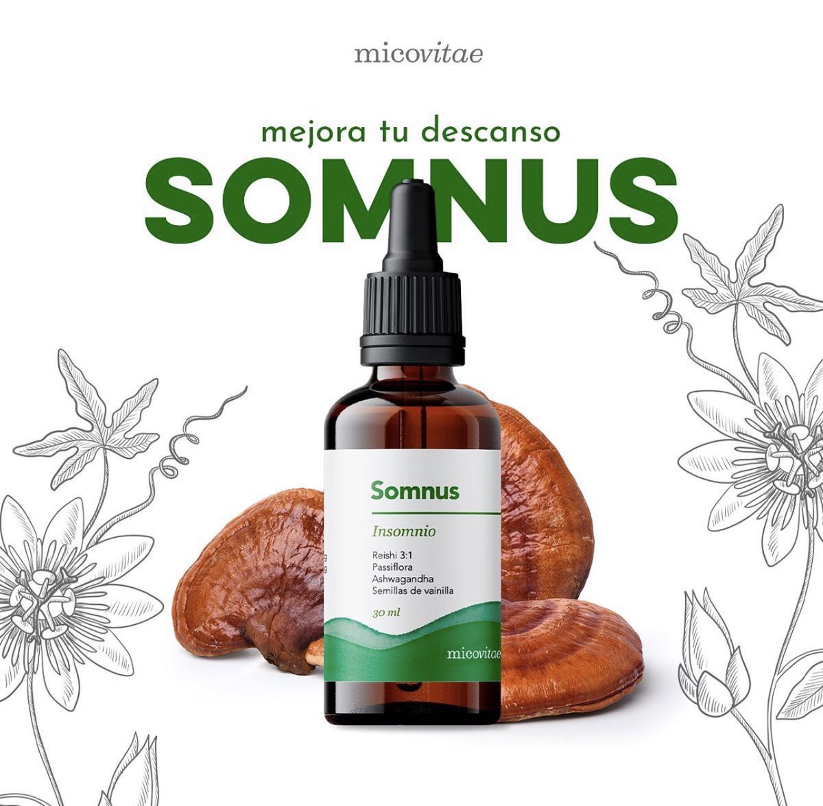 Gallardo tweet media