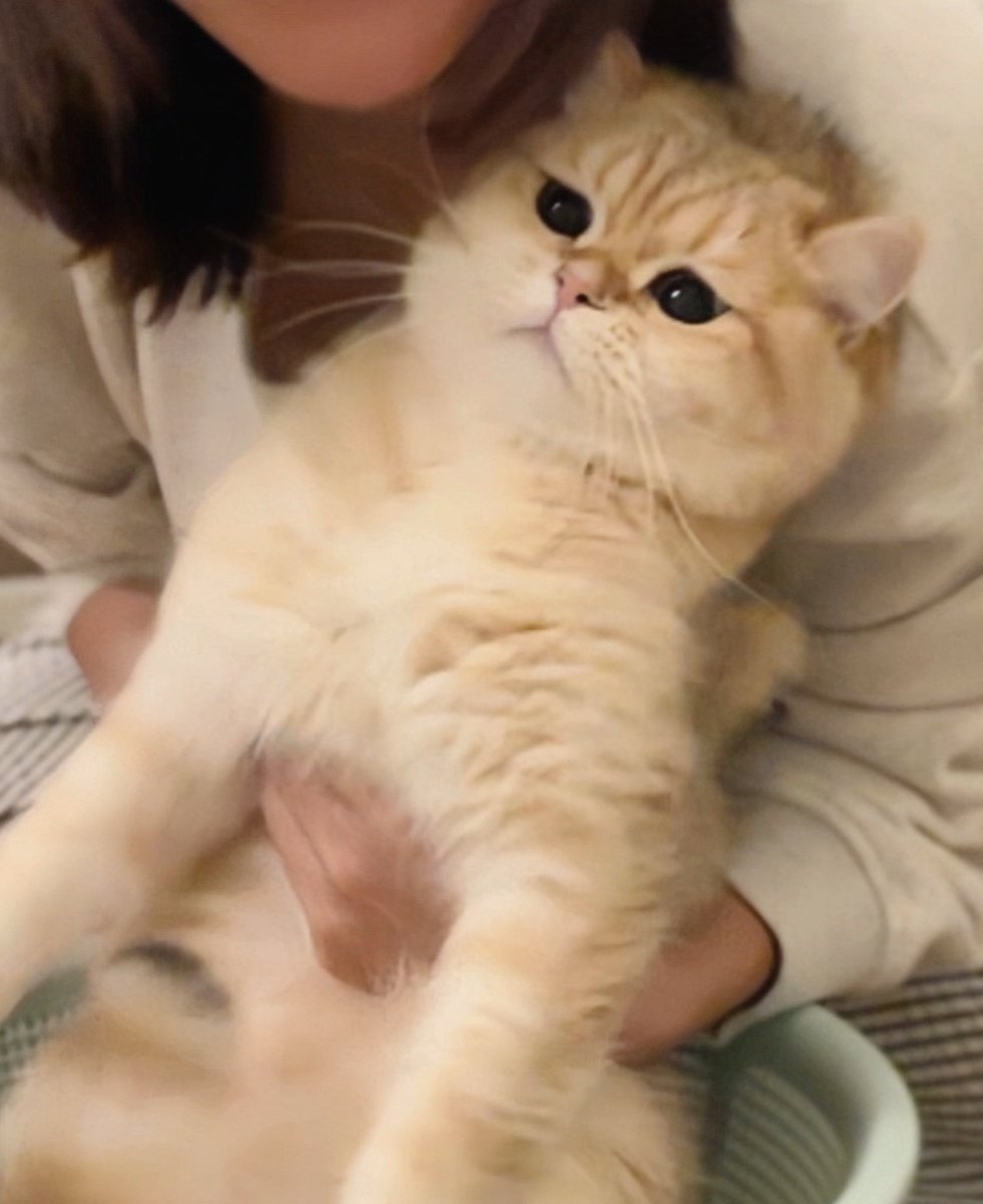 จับหน่อย จะล้ม